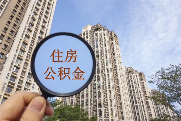 鄄城辞职了补充公积金能取不（辞职后补充公积金如何提取）